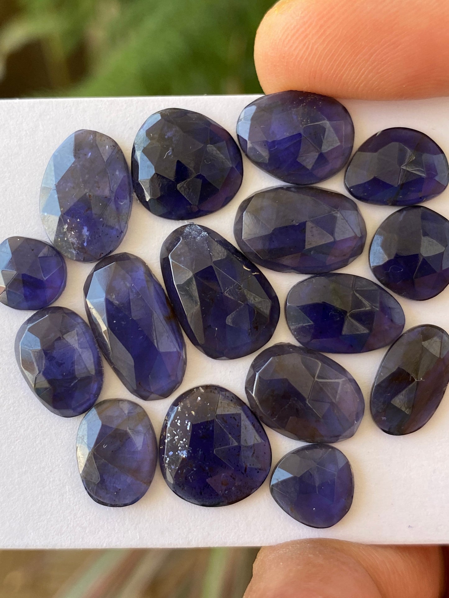 Ravishing Rare iolite rosecut wholesale lot fine quality weight 36 carats size 8mm-16x9mm pcs 16 iolite rosecut