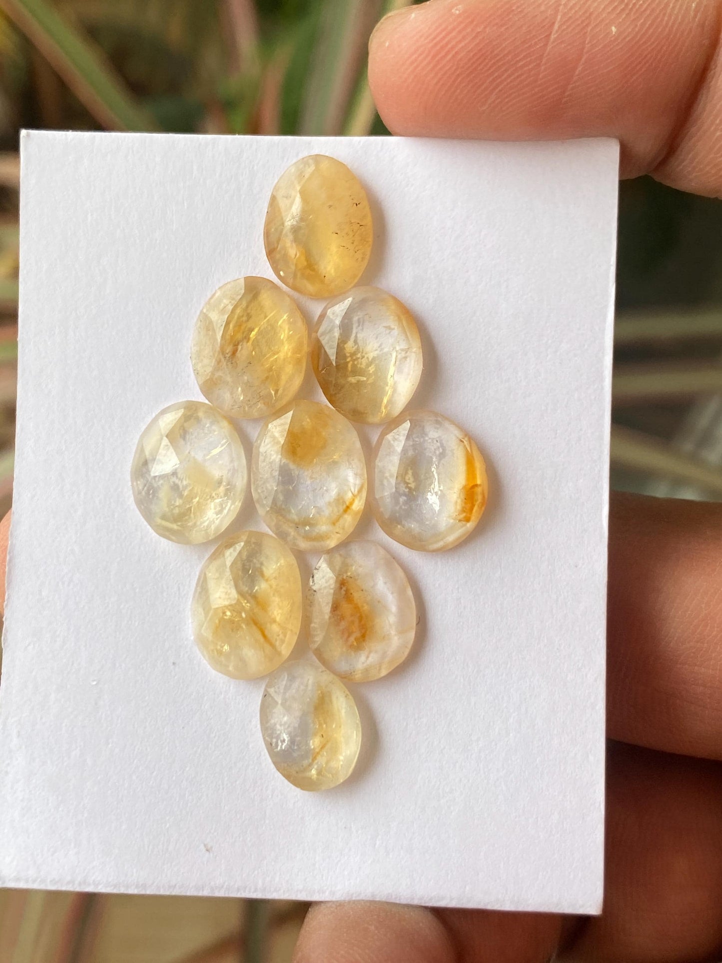 Lovely Bicolor Citrine rosecut bi color wholesale lot pcs 9 wt 29 carats good size 13x10-11x8mm natural citrine rosecut flatback