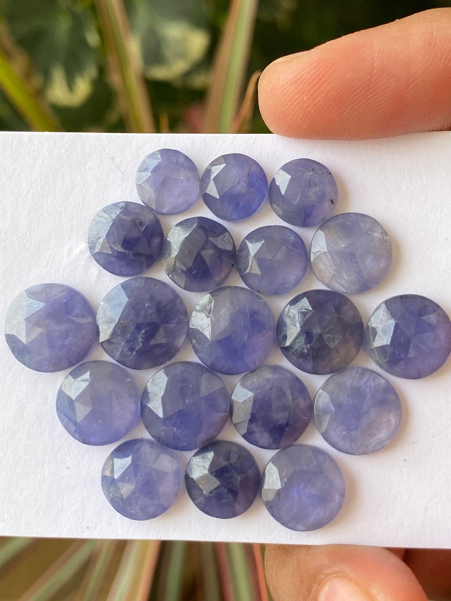 Fabulous Rare iolite rosecut wholesale lot weight 56 carats size 8.5mm-12.1mm  pcs 19  iolite rosecut iolite jewelry