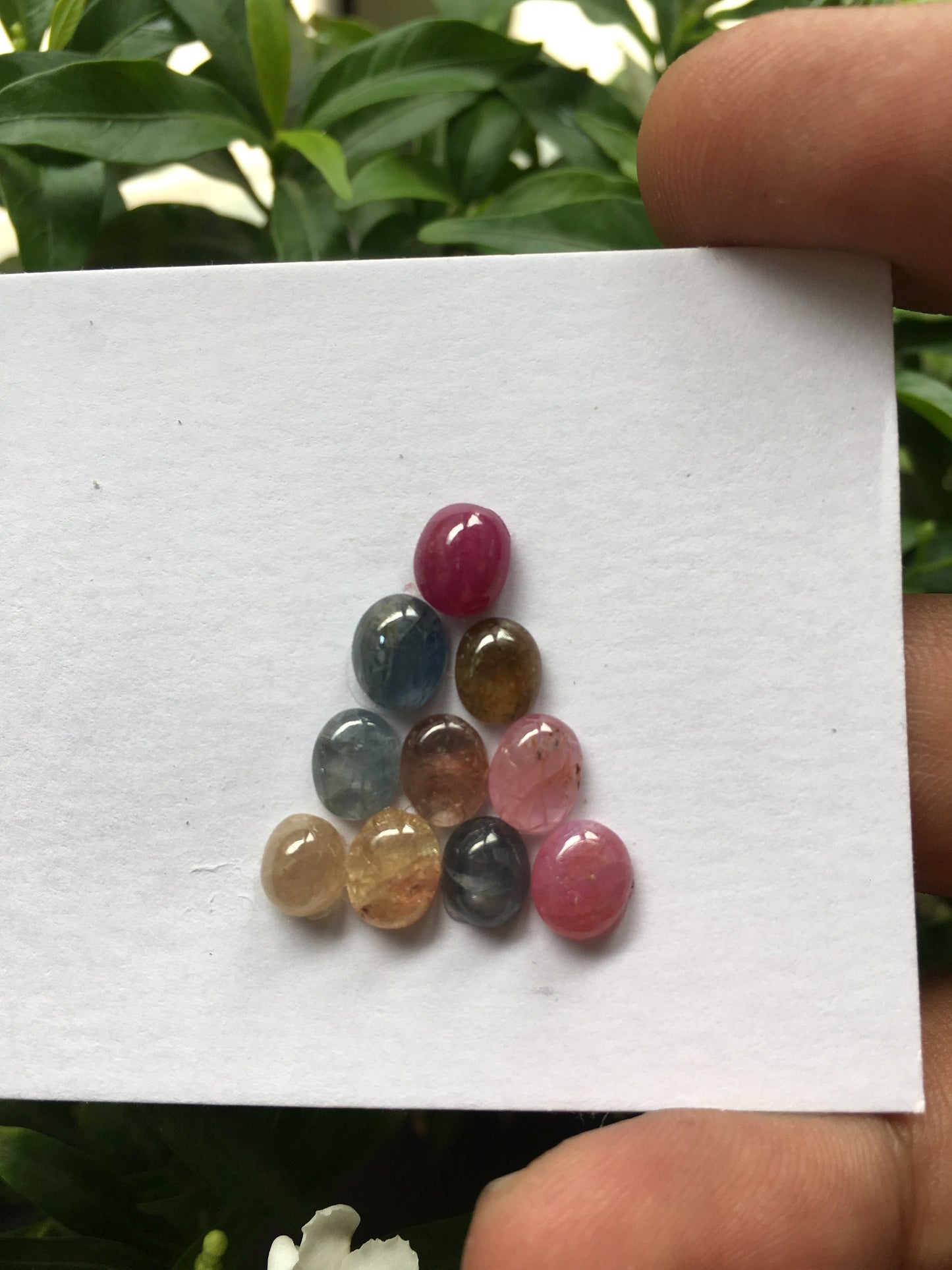 Very rare captivating Umba natural sapphire unheated untreated sapphire cabochons weight 14.05 carats size 6x5mm to 7x6mm pcs 10