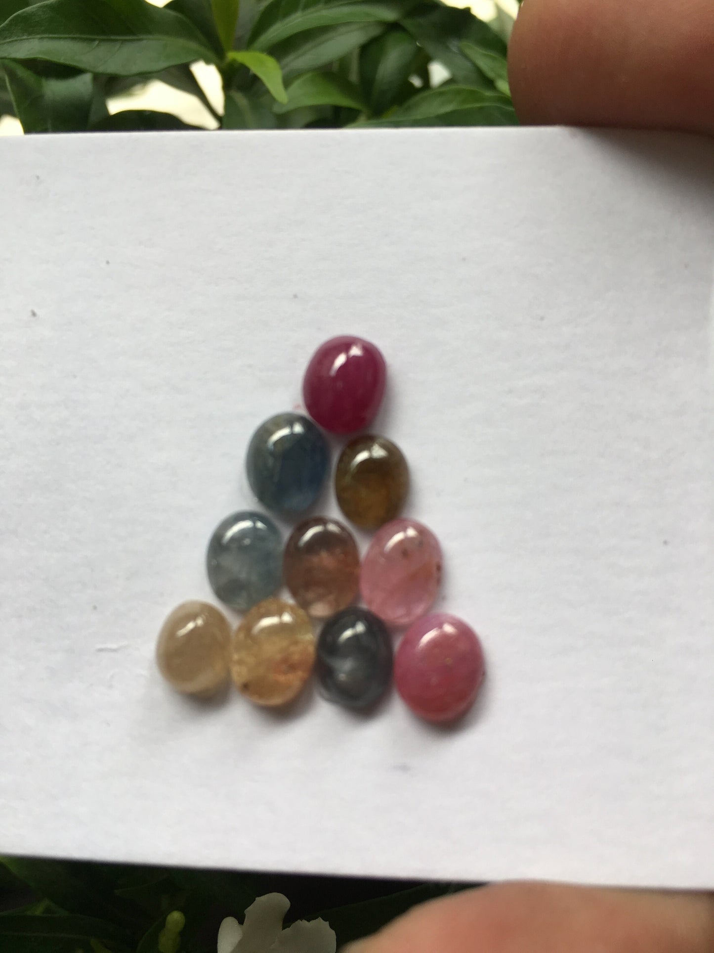 Very rare captivating Umba natural sapphire unheated untreated sapphire cabochons weight 14.05 carats size 6x5mm to 7x6mm pcs 10