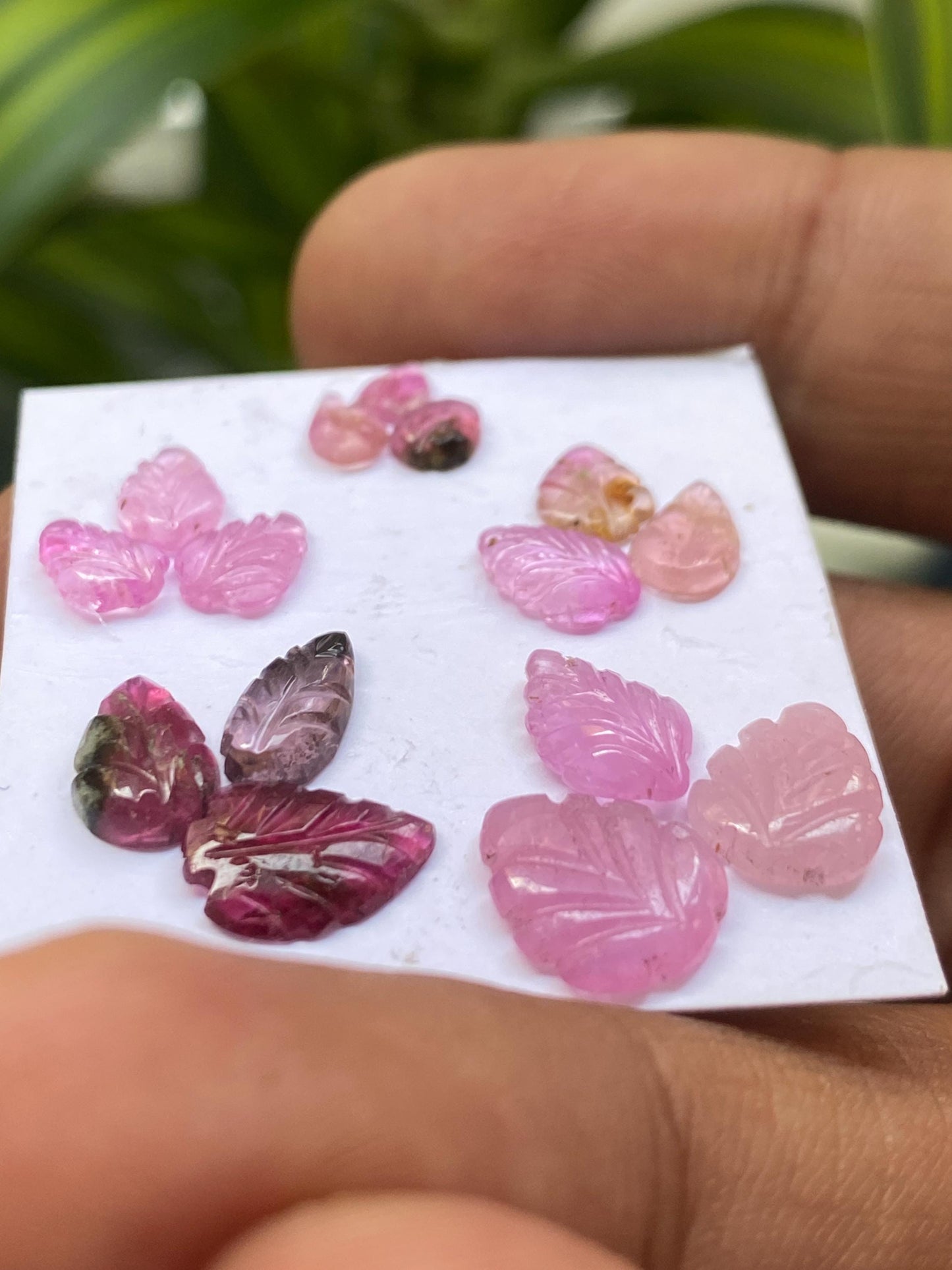 Stunning pink sapphire Watermelon tourmaline leaves carvings wt 11.70 carats pcs 15 size 5x3.8mm-10.2x8.6mm leaf carving