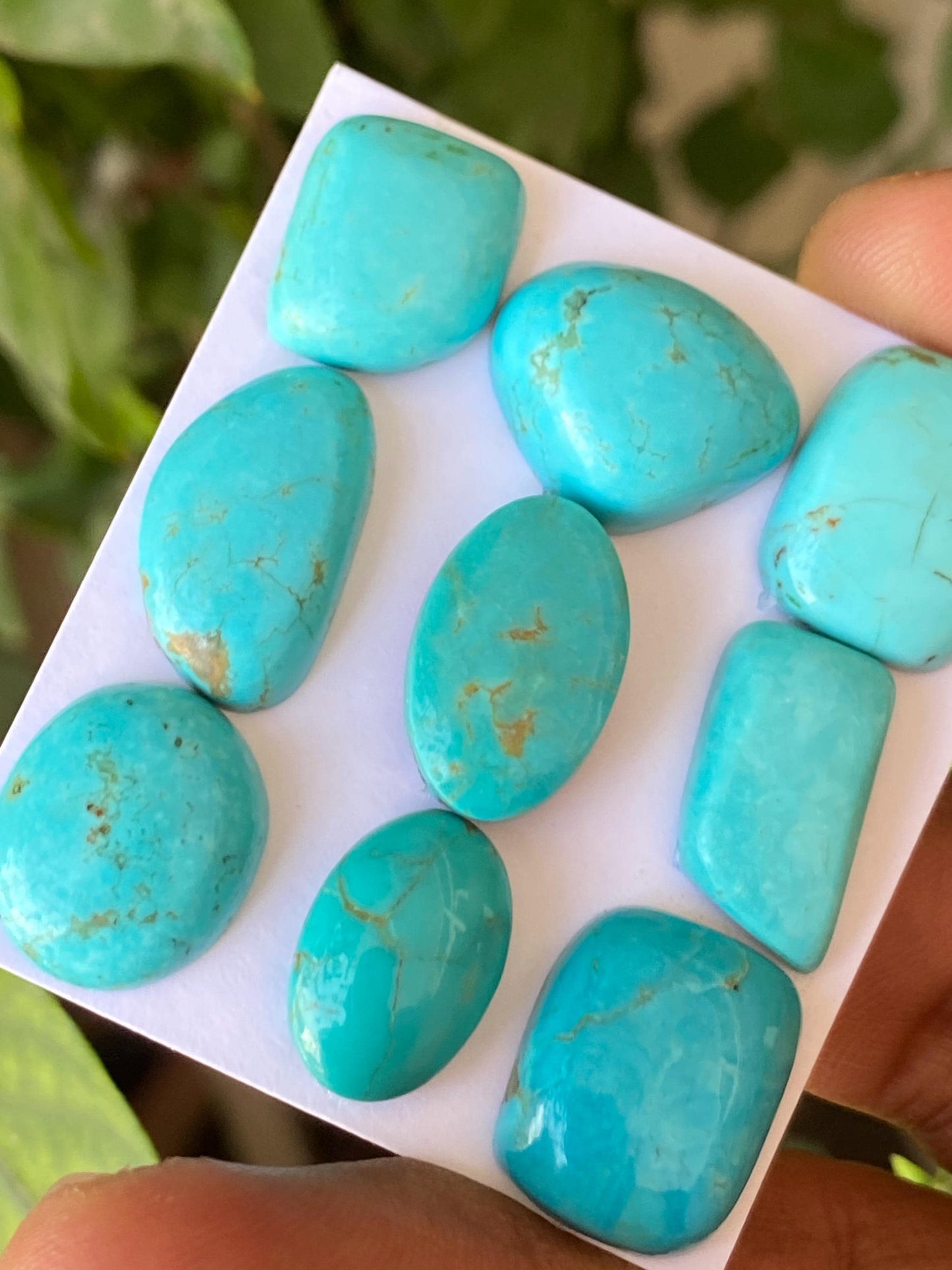 Rare Arizona mines Turquoise cabochons  natural smooth polished ovals fancy pears pcs 9 wt 80.50 carats 15x10-17x14mm turquoise cabochons