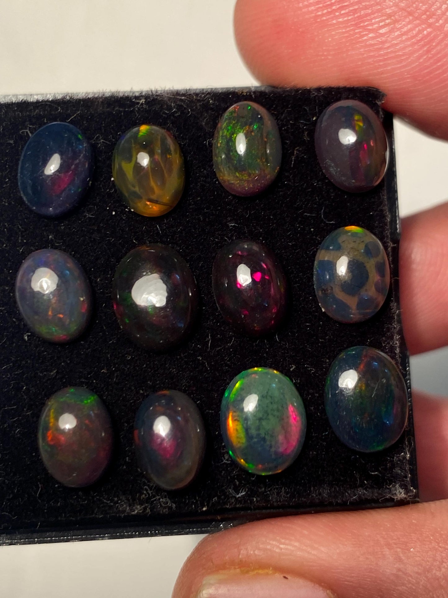 Black opal (smoked) Natural Fire opal cabochons lot size 7.8x6-8.8x7mm wt 11.35 cts pcs 12 opal cabochon aaa quality fire black opals cabs