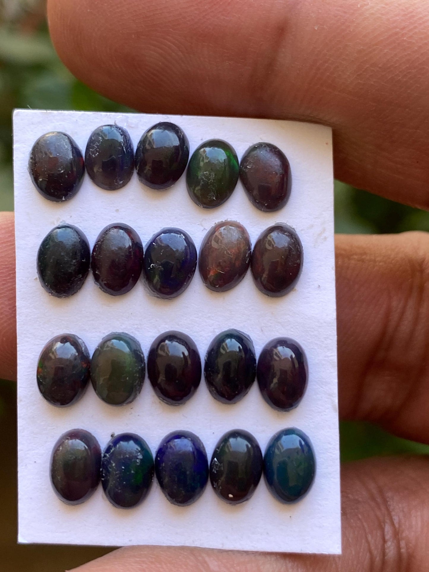 Black opal (smoked) Natural Fire opal cabochons lot size wt 9.80 cts size 7x5mm pcs 20 opal cabochon aaa quality fire black opals cabochons