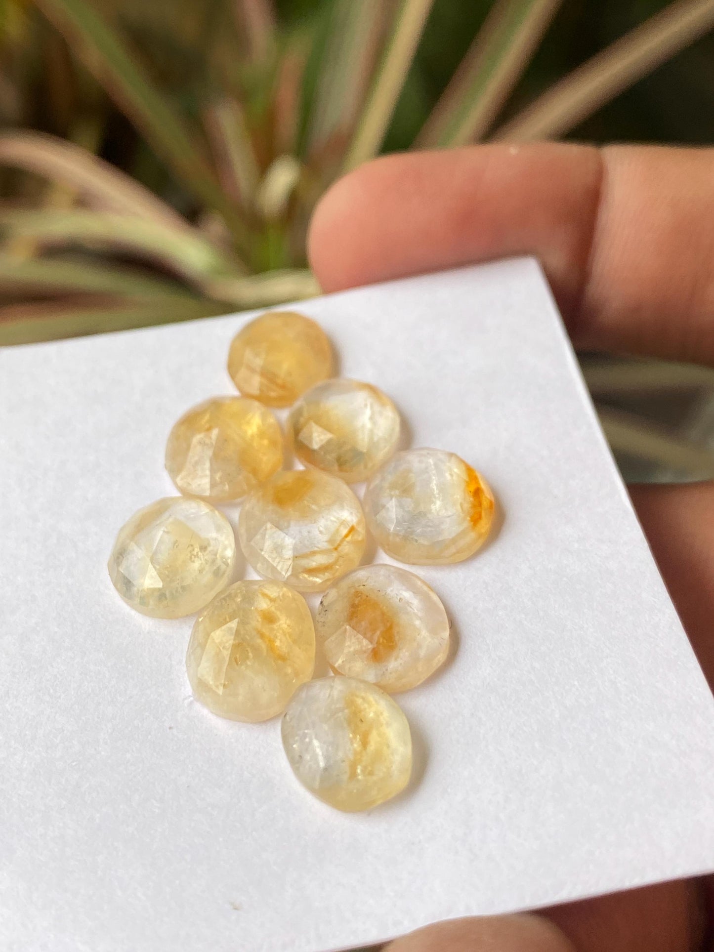 Lovely Bicolor Citrine rosecut bi color wholesale lot pcs 9 wt 29 carats good size 13x10-11x8mm natural citrine rosecut flatback