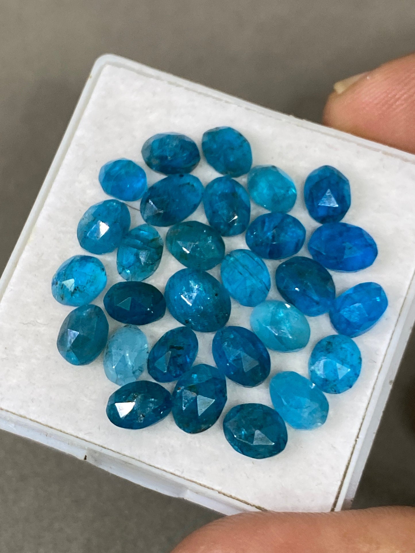 Alluring Neon Blue apatite rosecut wholesale lot wt 20 cts pcs 28 size 5.5x4.5mm-7.5x6mm rosecut neon blue apatite flats apatite rosecut