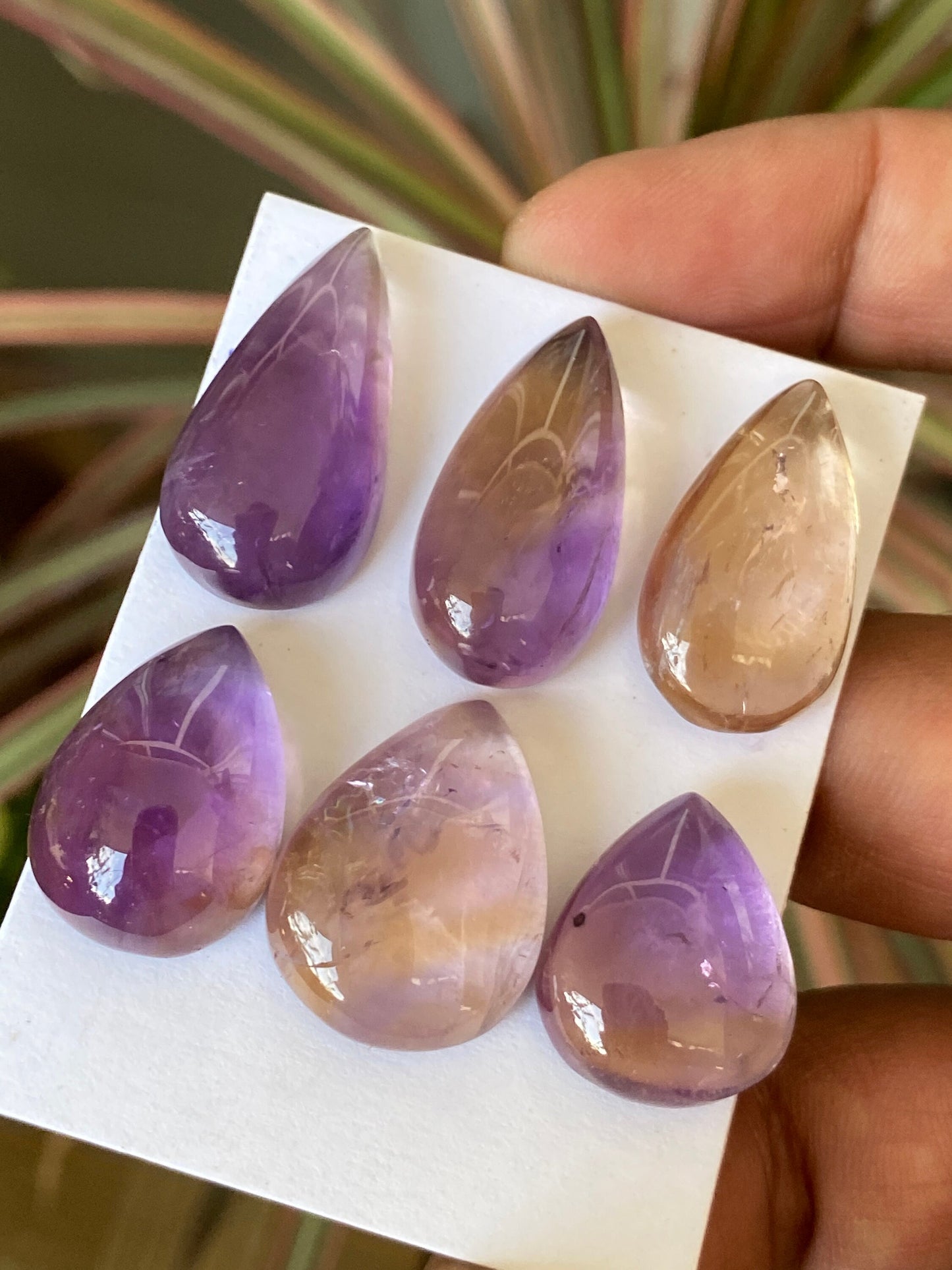 Fascinating Ametrine rare pear cabochons wire wrap supply Ametrine pcs 6 wt 169 cts size 21.5x17.5mm-29x15.5mm Ametrine pear pendant supply