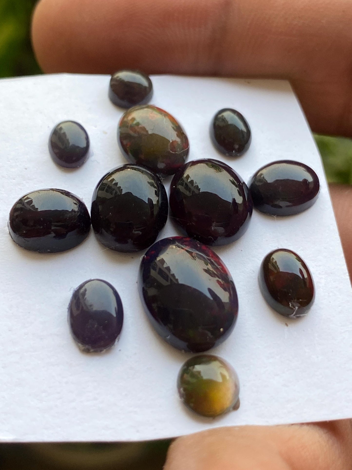 Fabulous Black opal (smoked)Natural Fire opal cabochons lot size wt 19.5 cts size 6x6-14x6mm pcs 12 opal cabochon fire black opals cabochons