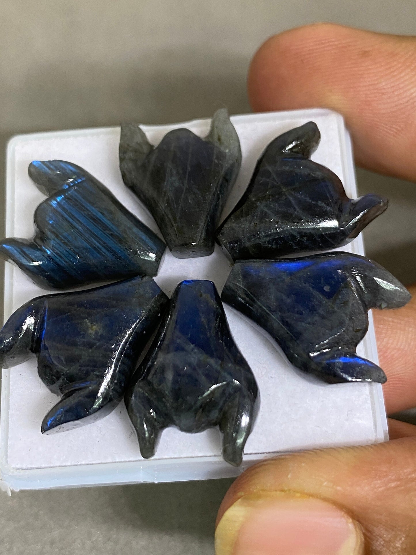 Fascinating rare Black rainbow labradorite bull head carving  blue fire smooth polished pcs 6 wt 41 cts size  labradorite bull head