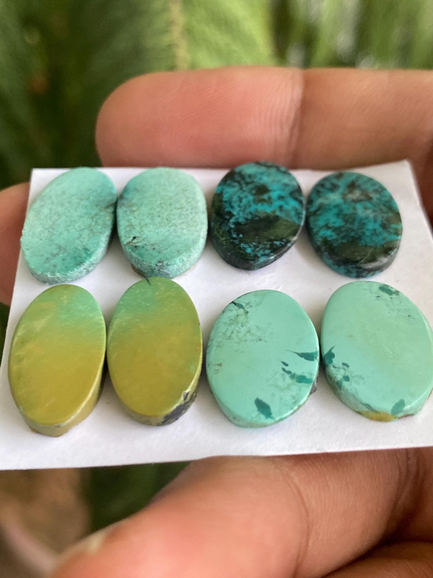 Awesome Turquoise pairs natural hubei mines smooth polished cloud mountain pcs 8 wt 42.40 carats 17x12-18x11mm turquoise earrings supply