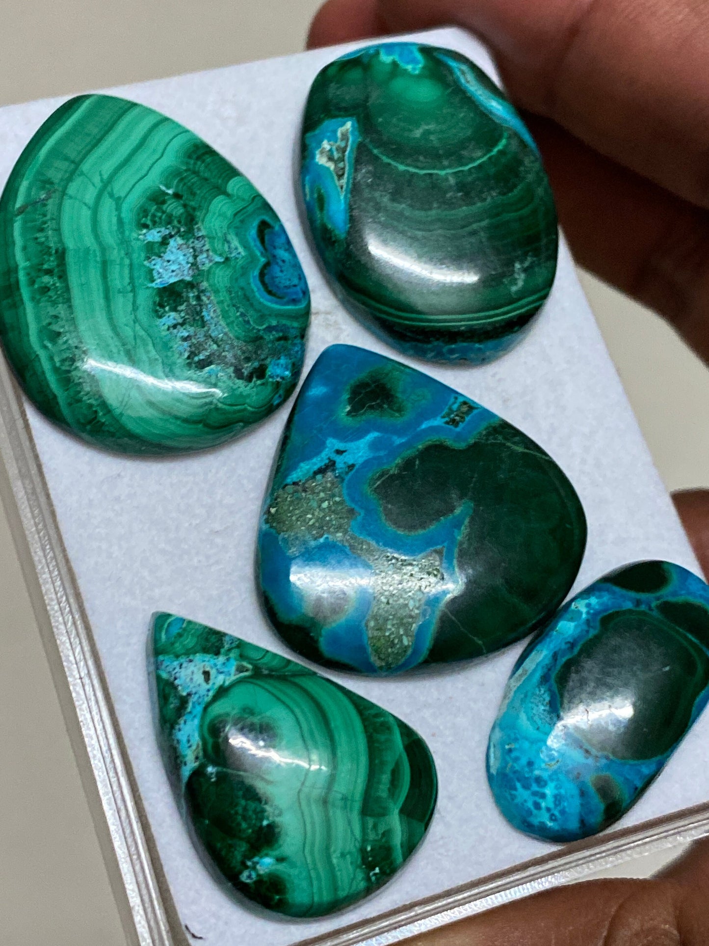 Amazing rare huge malachite chrysocolla cabochons wholesale lot weight 239 carats pcs 5 size flatback gems