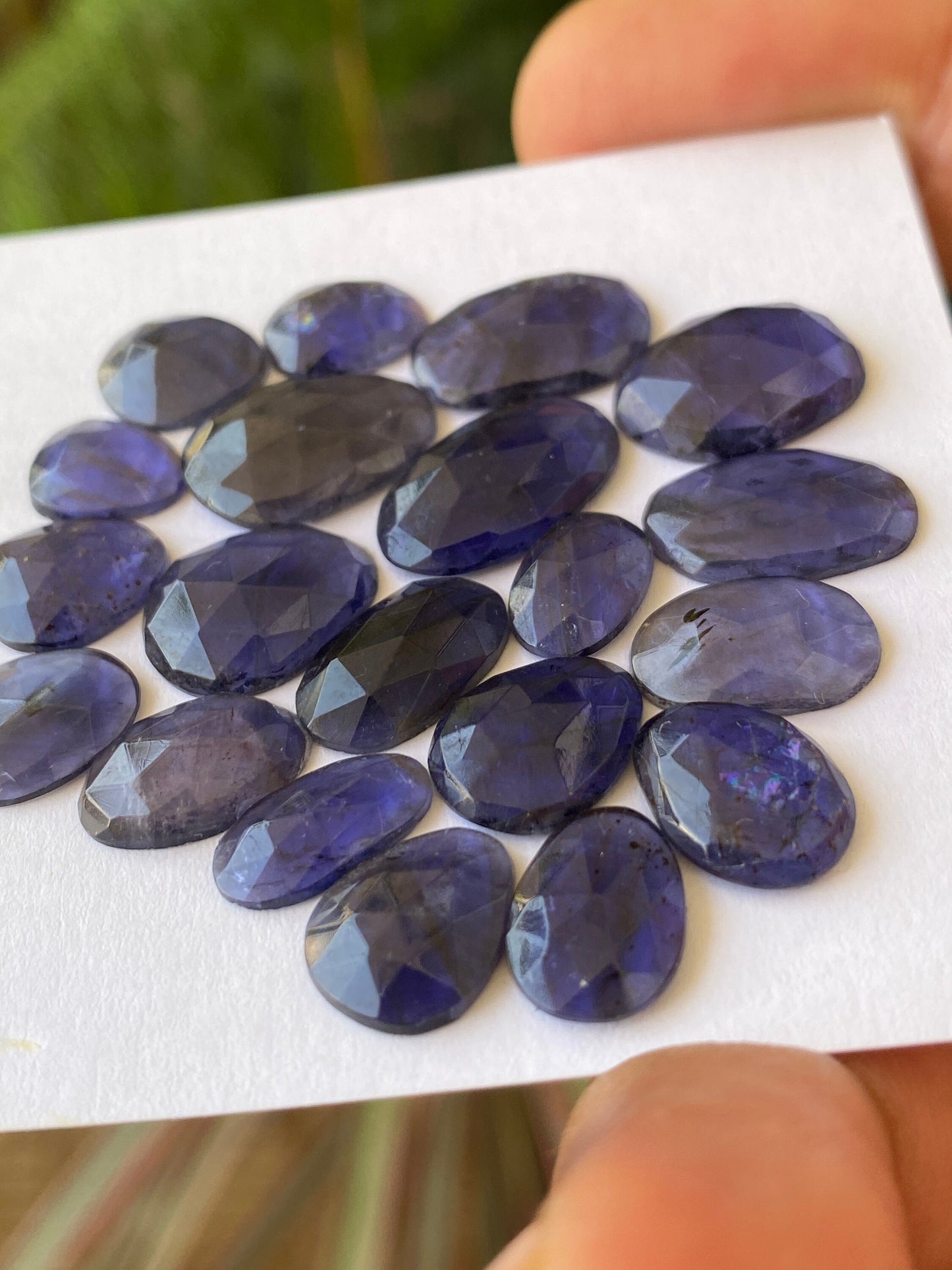 Stunning Rare iolite rosecut wholesale lot fine quality weight 39 carats size 9x7mm-15x11mm pcs 20 iolite rosecut