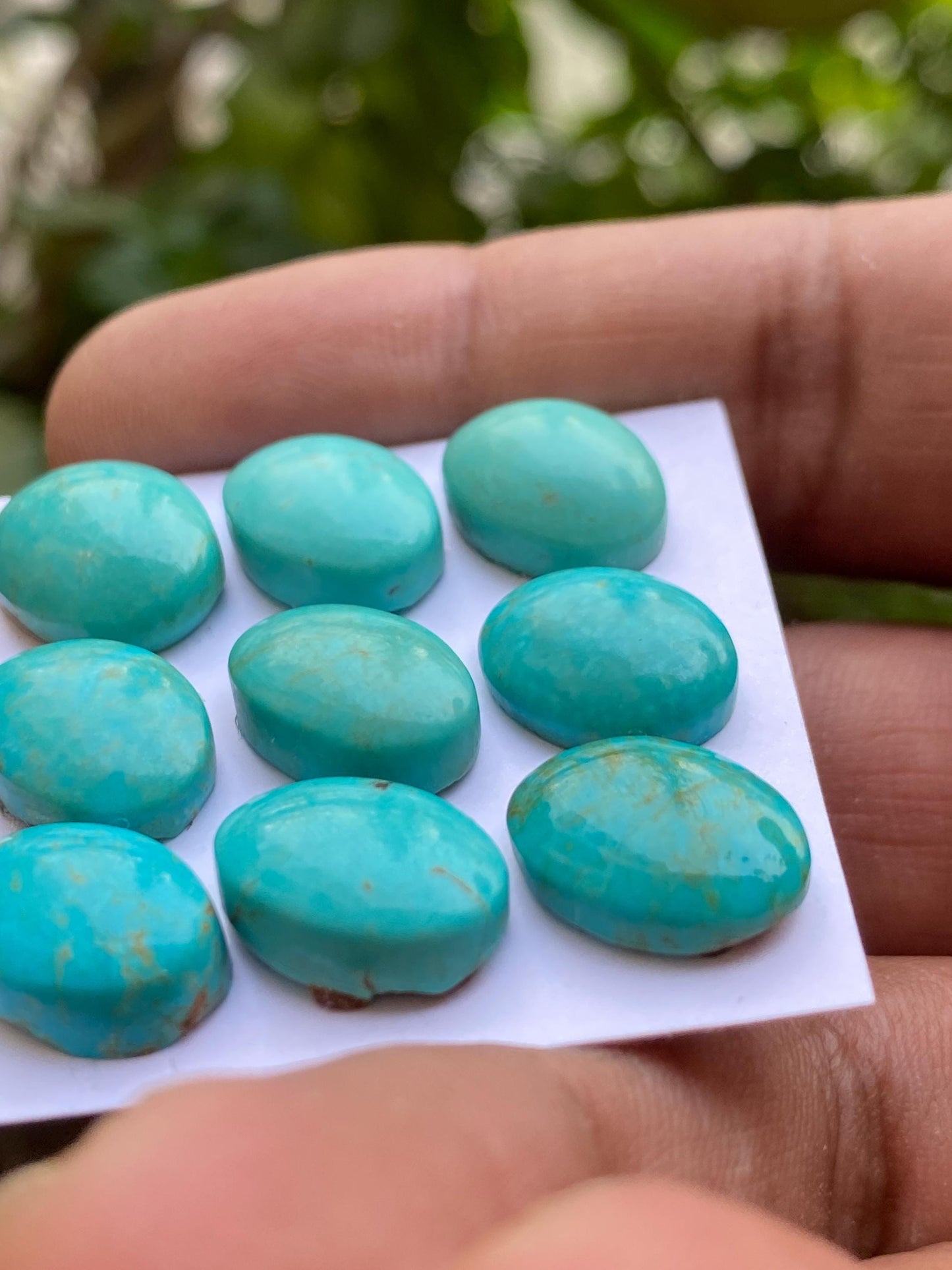 Mesmerising rare Arizona  mines Turquoise cabochons  natural smooth polished ovals pcs 9 wt 55.45 carats 14x10mm-15x12mm turquoise cabochons