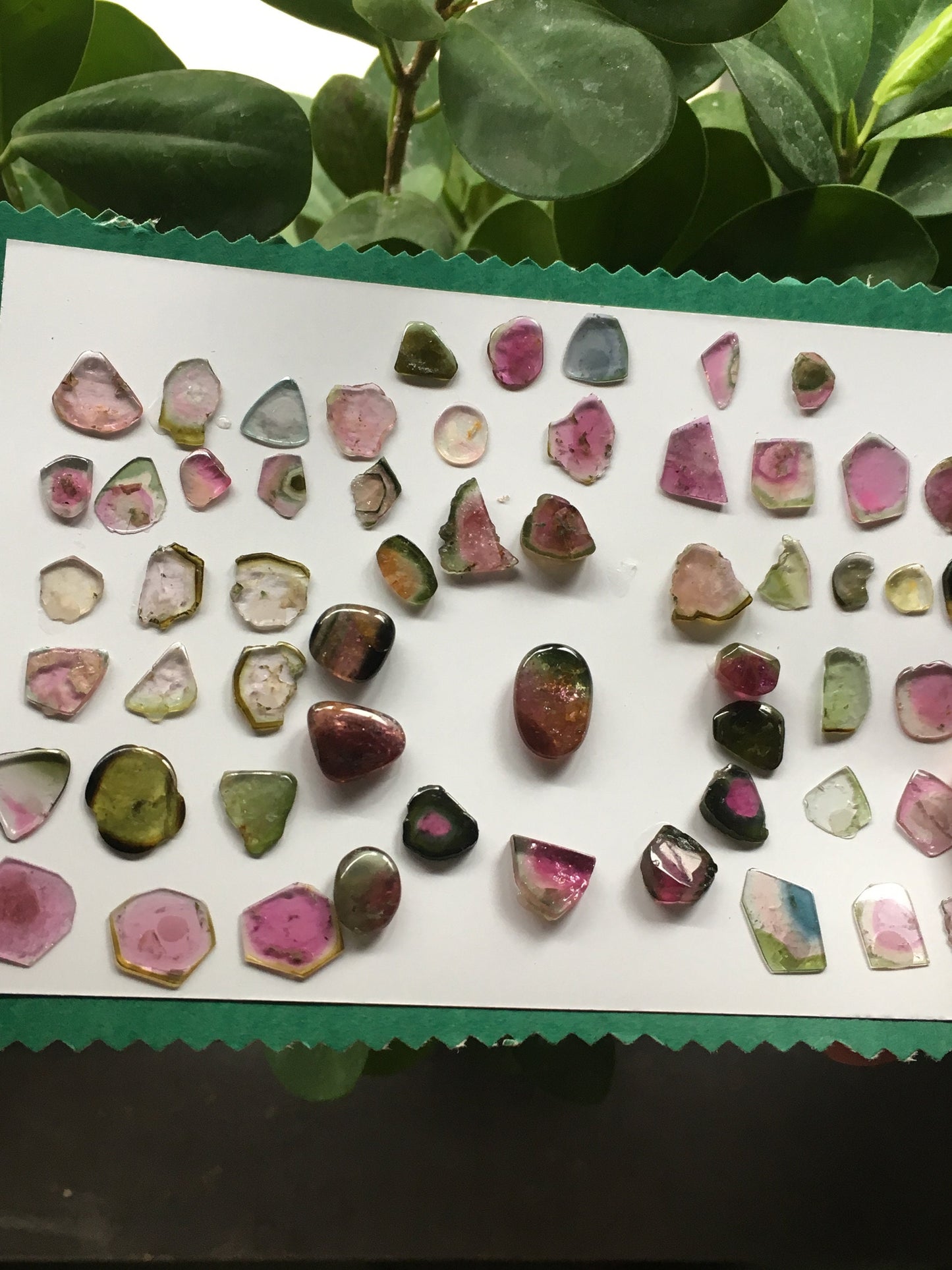 Awesome bi colour Natural tourmaline smooth polished  7x6mm to 17x12mm 108.50 carats 56 Pcs