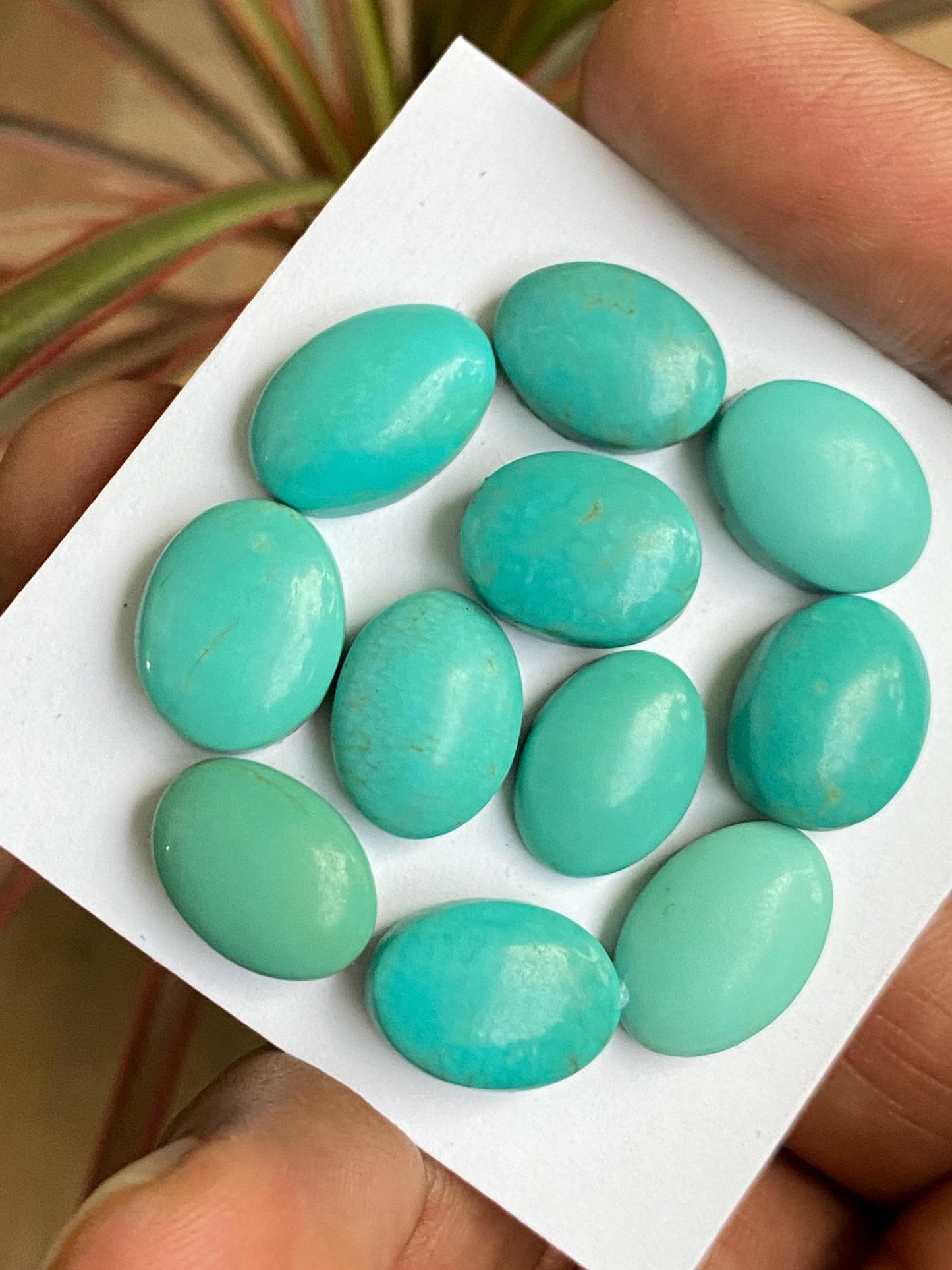 Mesmerising rare Arizona  mines Turquoise cabochons  natural smooth polished ovals pcs 11 wt 61 carats 13x10-15x10mm  turquoise cabochons