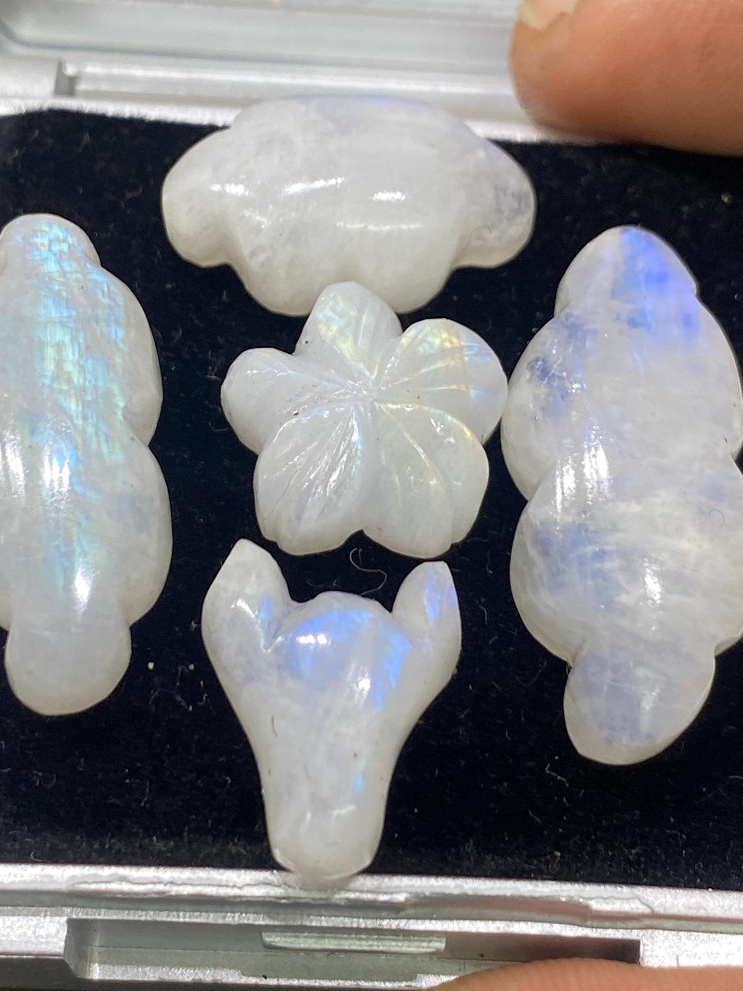 Gorgeous rare white moonstone cloud carving  bill head flower blue fire moonstone pcs 5 wt 81 cts size 15mm-30x13mm moonstone carving