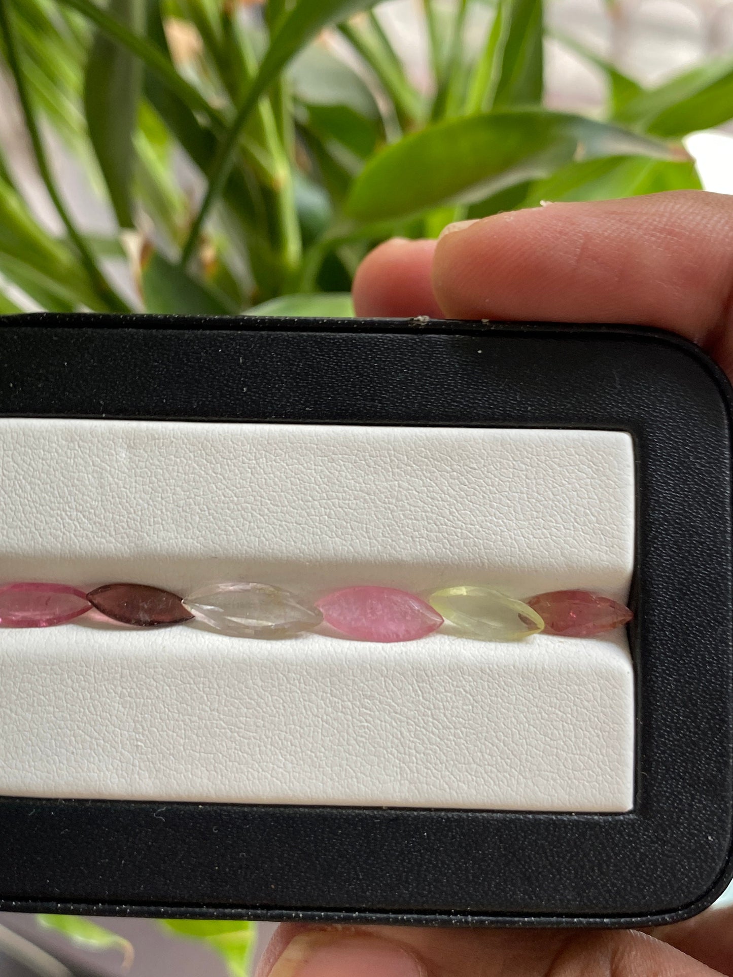 Fantastic  Rare Watermelon Tourmaline marquise cutstones pcs 6 wt 4.70 cts 10.2x4-13x4.8mm tourmaline cutstones bi color tourmaline