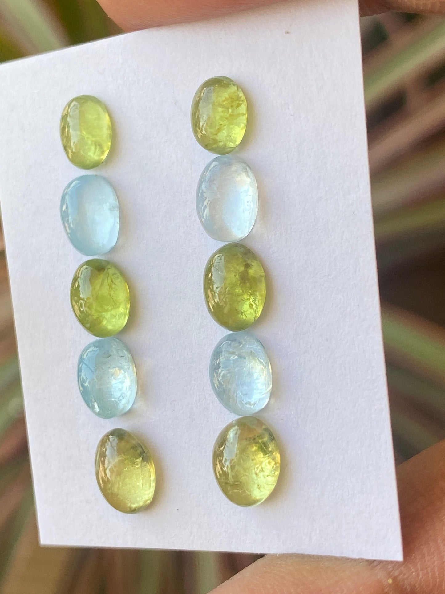 Dazzling rare Aquamarine peridot Fine quality cabochons earring supply  pcs 10 wt 11 carats Size 6.4x5mm-7.7x5.7mm aquamarine cabochons flat