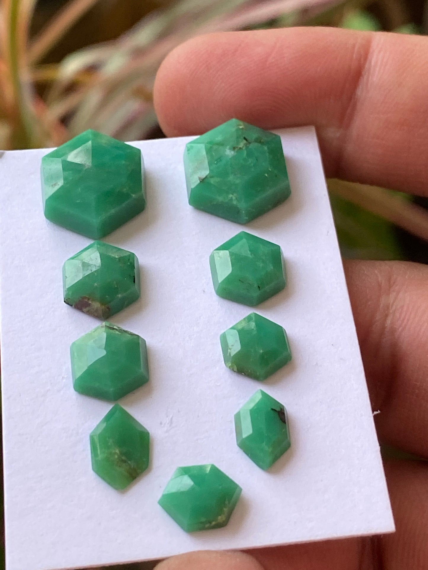 Dazzling chrysoprase hexagon stepcut wholesale lot Pcs 9 weight 30 carats size 9x7.1mm-15x12.8mm chrysoprase stepcut