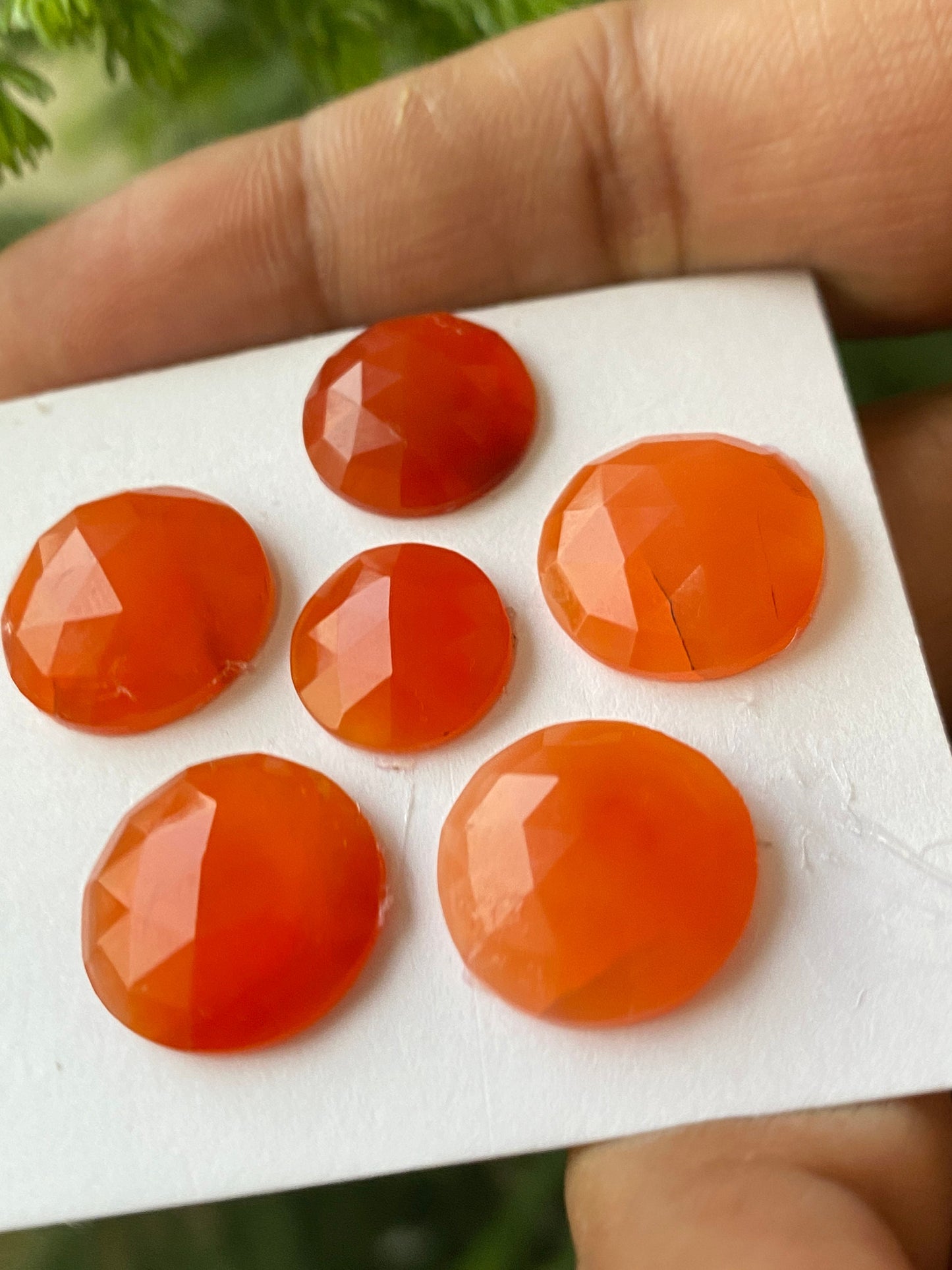 Cute rare Carnelian rosecut round shape wt 43 carats size 12.5-15.6mm pcs 6 aaa quality carnelian rosecut cabochons